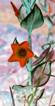 F 044C
